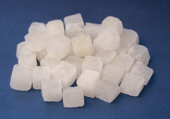 NHA ĐAM ĐÔNG LẠNH